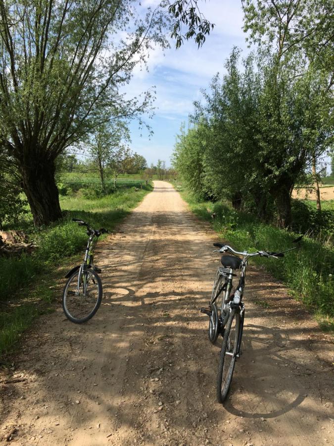 Agroturystyka Kobylnica Nad Wisla ภายนอก รูปภาพ
