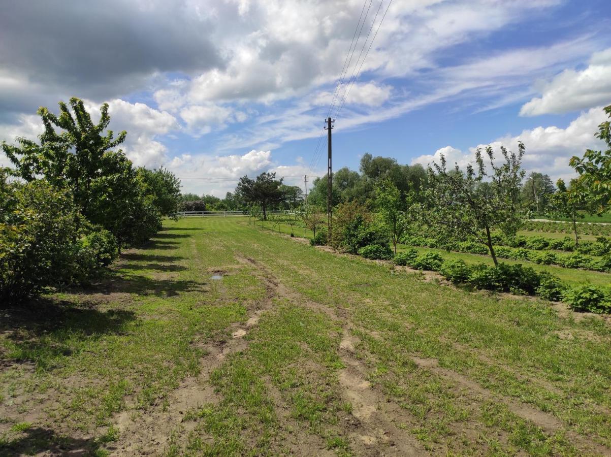 Agroturystyka Kobylnica Nad Wisla ภายนอก รูปภาพ