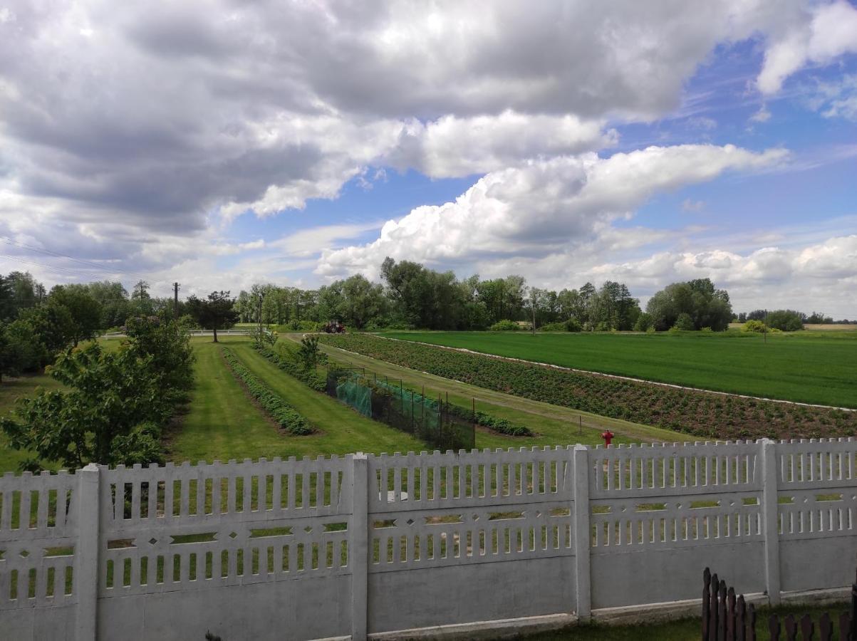 Agroturystyka Kobylnica Nad Wisla ภายนอก รูปภาพ