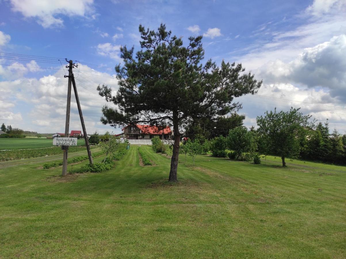 Agroturystyka Kobylnica Nad Wisla ภายนอก รูปภาพ